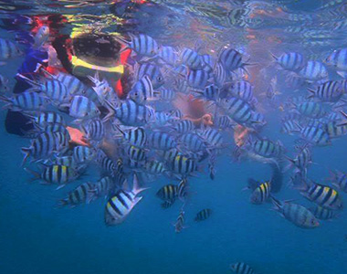 Kuala Besut to Pulau Perhentian